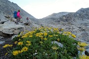 75 Doronico dei macereti con Passo e Punta Venerocolo